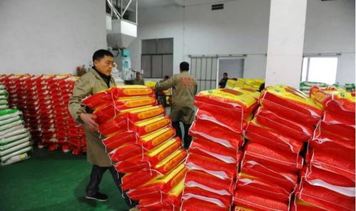 農(nóng)業(yè)技術(shù)推廣的發(fā)展方向探討